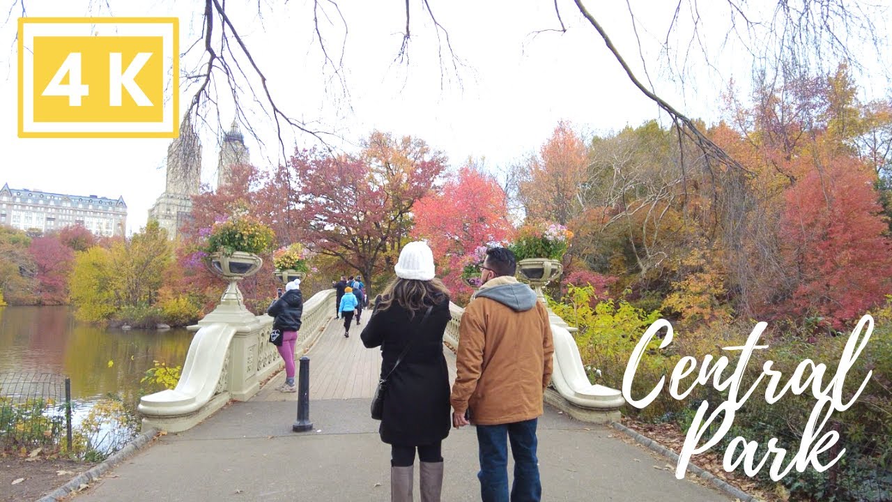[4K] NYC Walking Tours | Central Park in November 🍂 Incredible Fall Leaves 🍂 Bethesda Fountain
