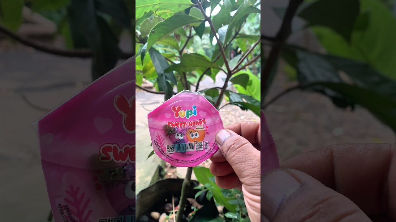 Unboxing Delicious Yupi Sweet Heart Candy 