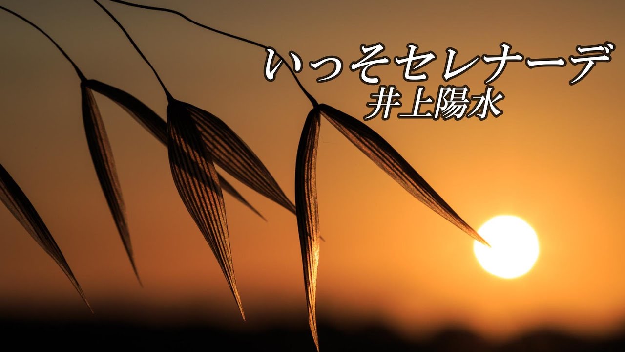 いっそセレナーデ　　井上陽水