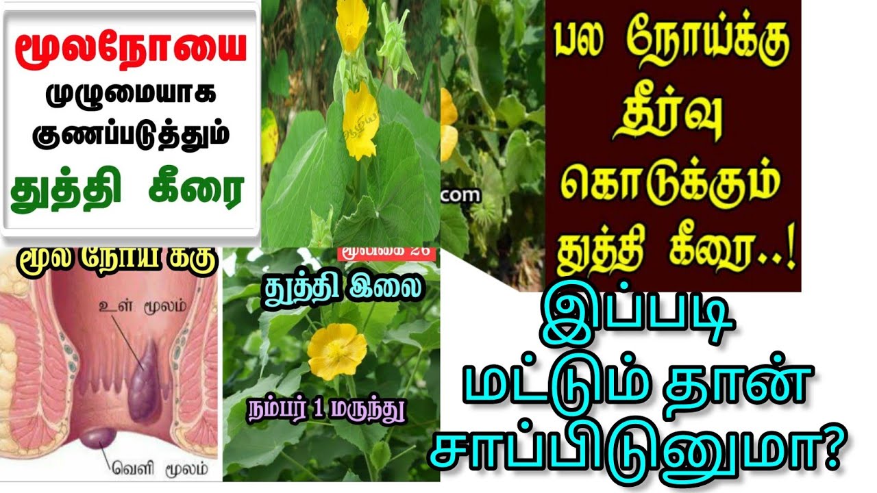 உள், வெளி & இரத்த மூலமும் - துத்தி கீரையும| Uses of Thuthi Keerai in Tamil | Dr Pramila Raja