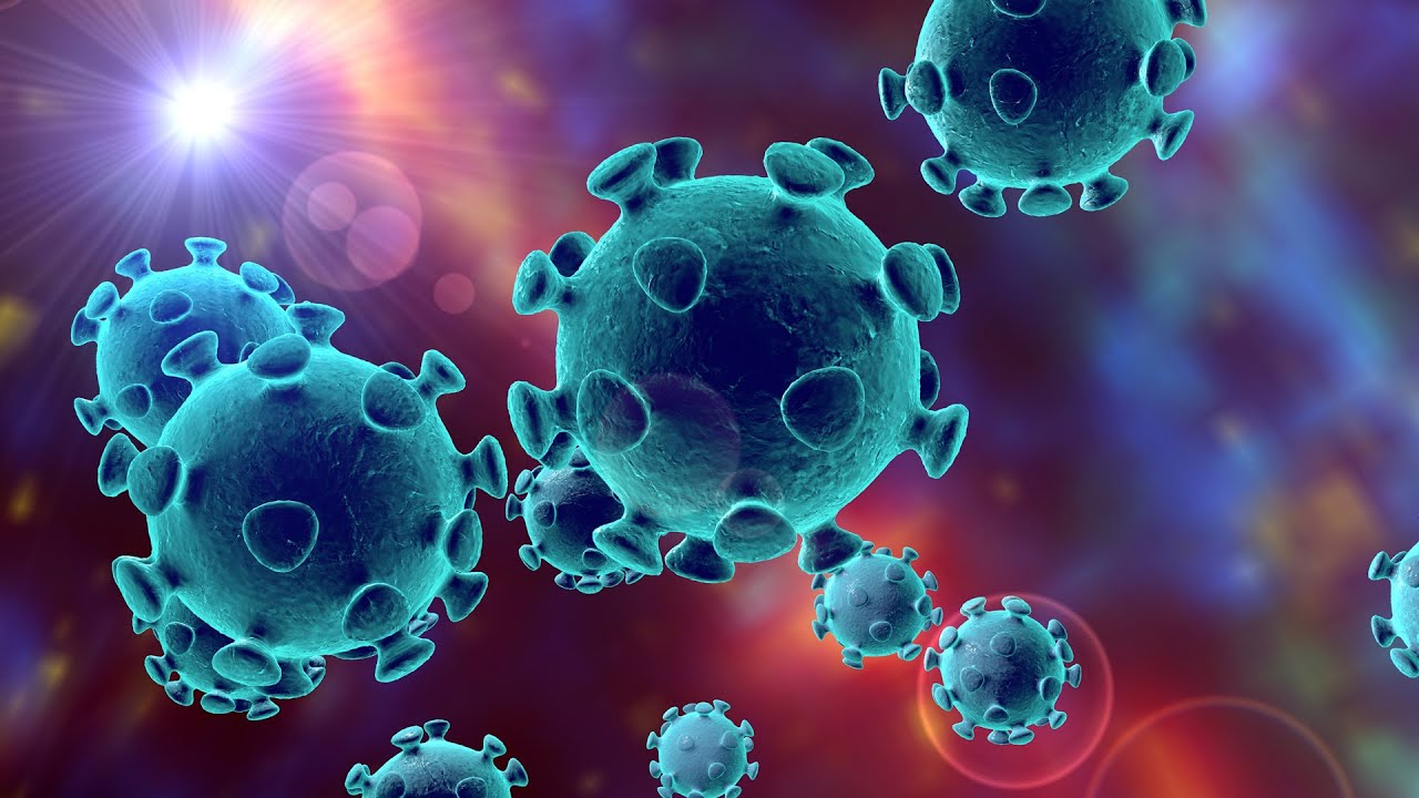 IMMUNITET - YUQUMLI KASALLIKLAR | ИММУНИТEТ - ЮҚУМЛИ КАСАЛЛИКЛАР.