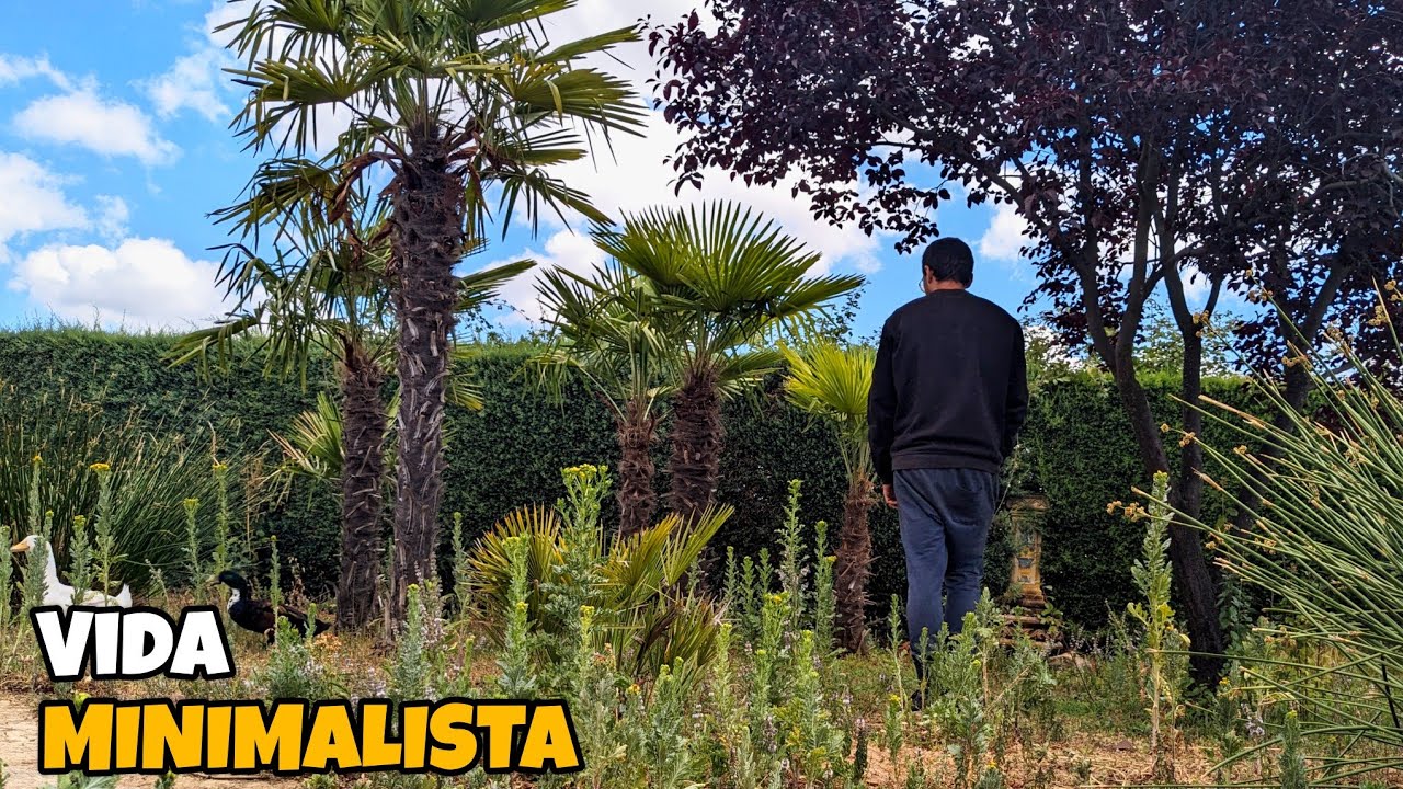 [DIARIO DE CAMPO CAP. 24] Pavos reales recién nacidos, tormentas y vida minimalista