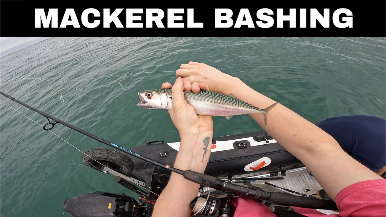 MACKEREL & BASS Fishing UK - Inflatable Boat Fishing The Solent | SIB Fishing UK