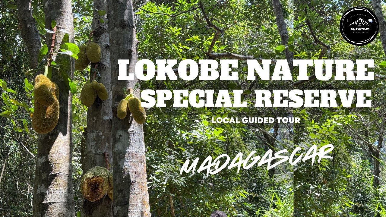 Experiencia ENDÉMICA | Nosy Be - LOKOBE RESERVE - MADAGASCAR 
