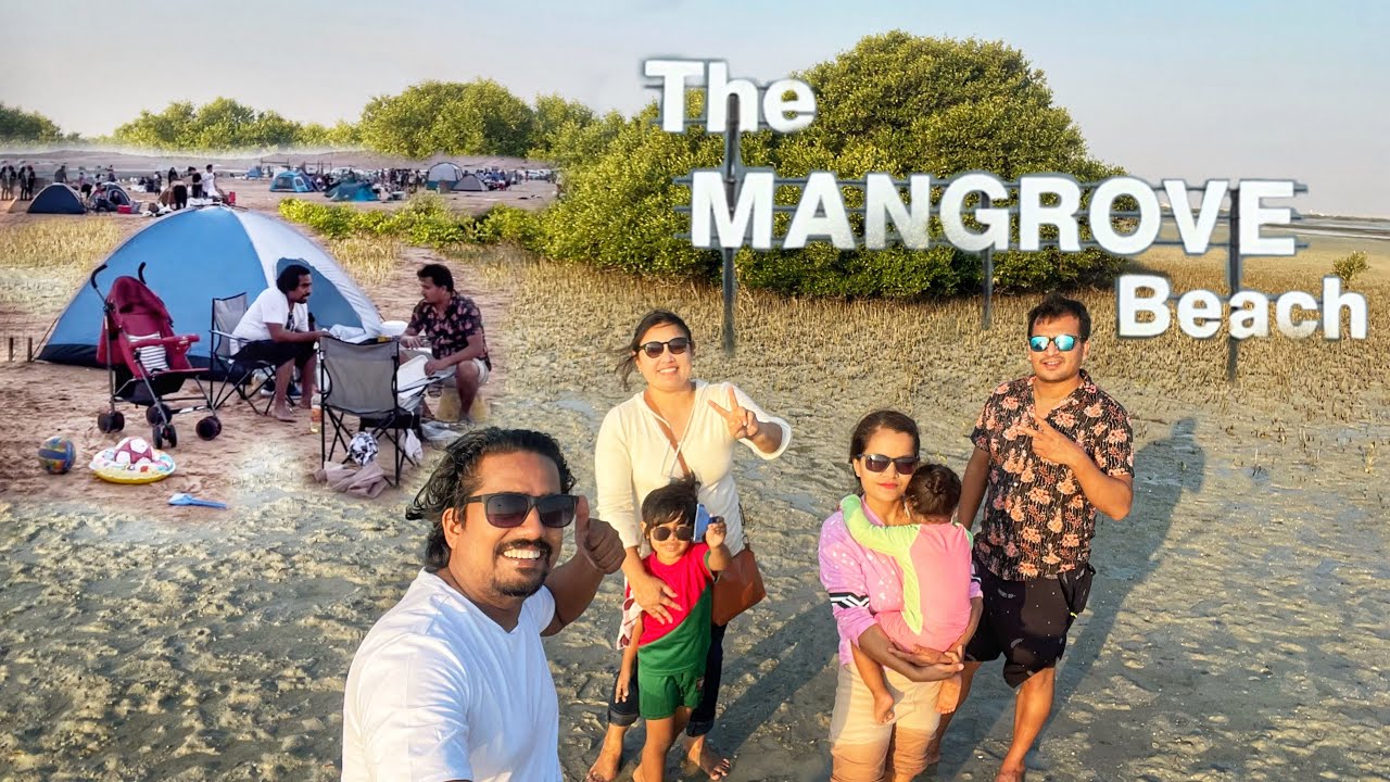 കണ്ടൽക്കാടിലെ ക്യാമ്പിംഗ് Camping in The Mangrove Beach, Umm Al Quwain