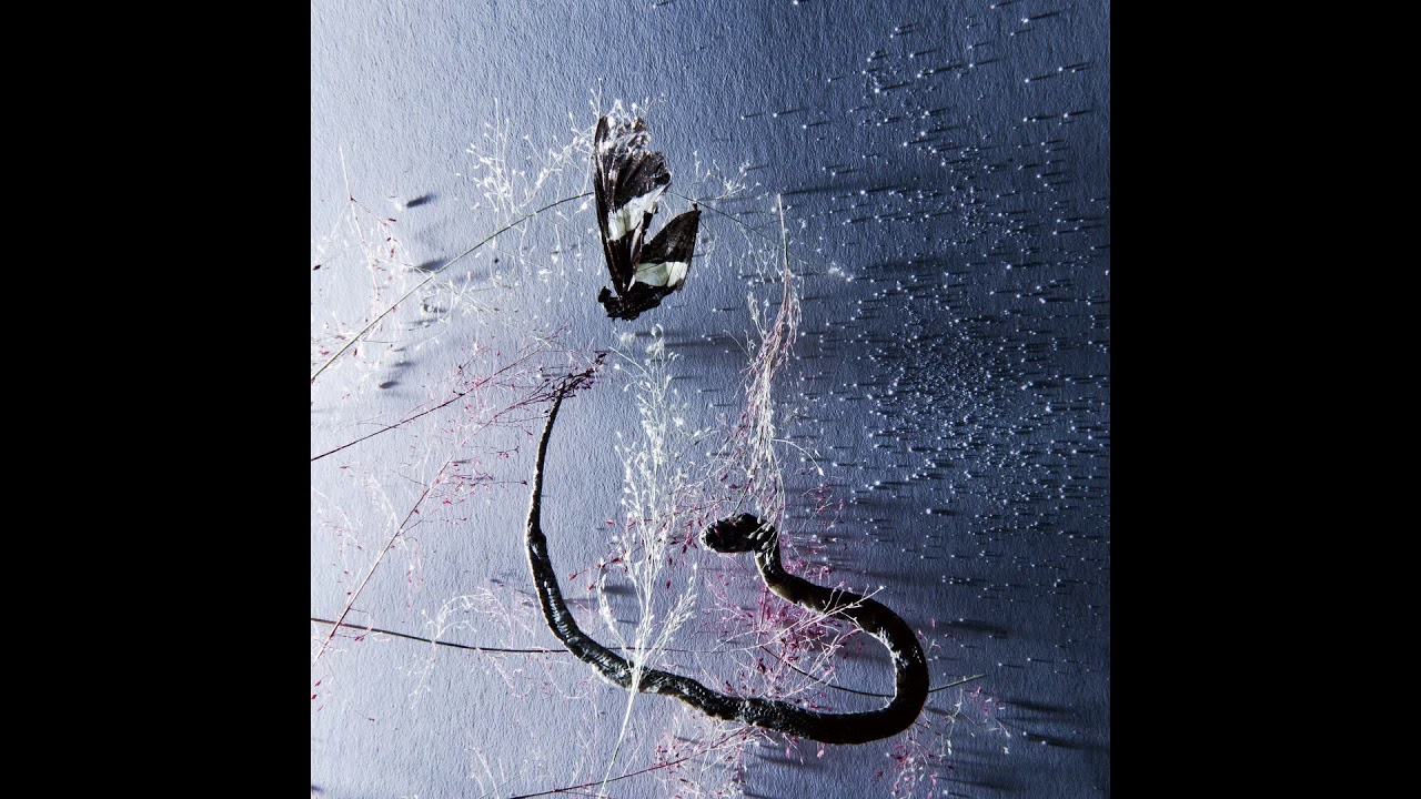 Rakta - III