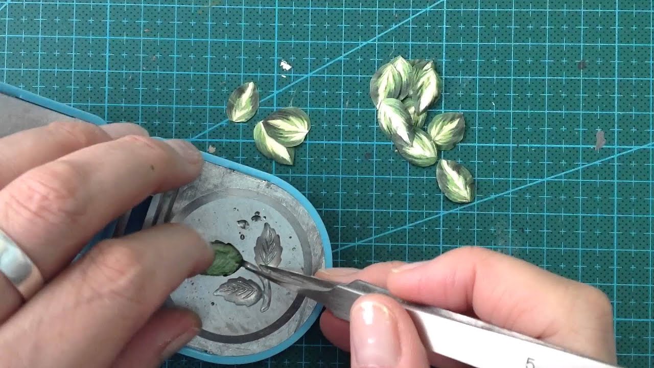 How to make miniature Hosta