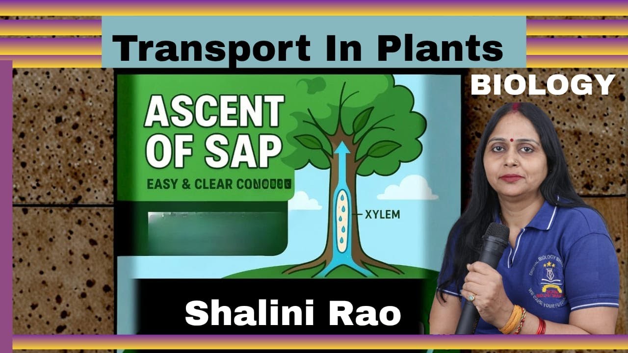 Plants physiology ITransport in plants I  NCERT Class11th Botany I Transpiration Pull I xylem sap