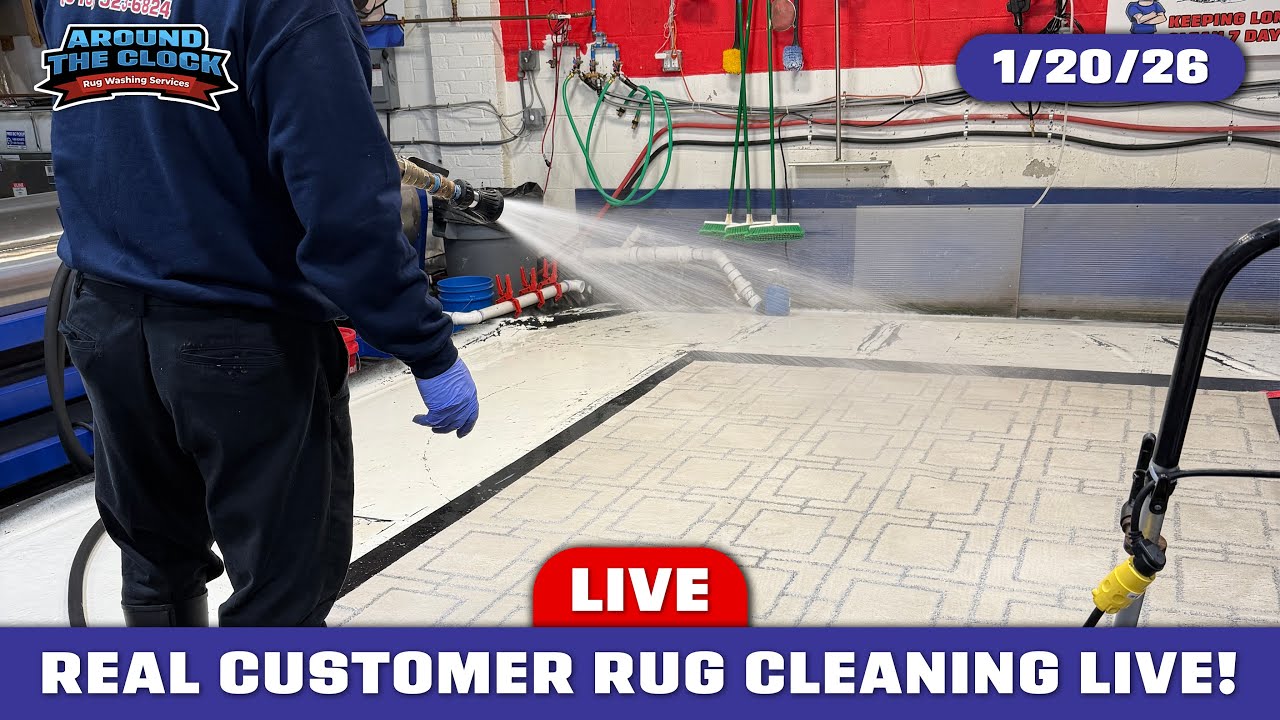 LIVE Rug Washing for REAL Customers! #rugcleaning