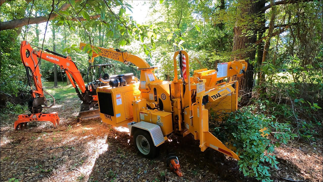 Dangerous storm damaged trees | cutting my way through it