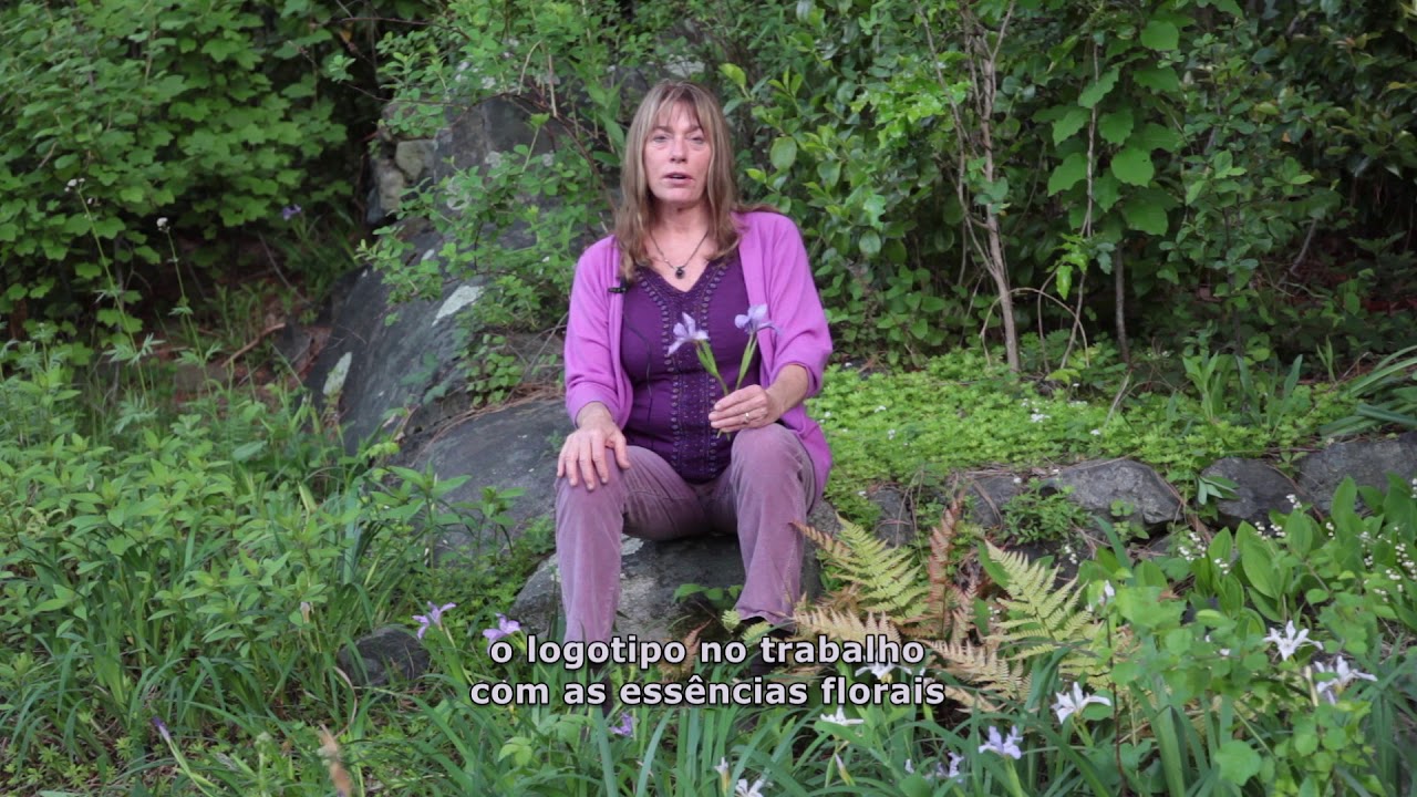 Floral Iris - por Patricia Kaminski (legendado)