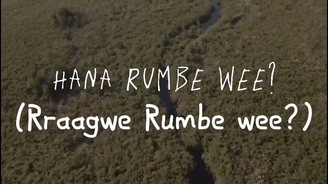 Koolkat Motyiko - Sebaga Sa Ngaka ft Bishop & HT Tautona