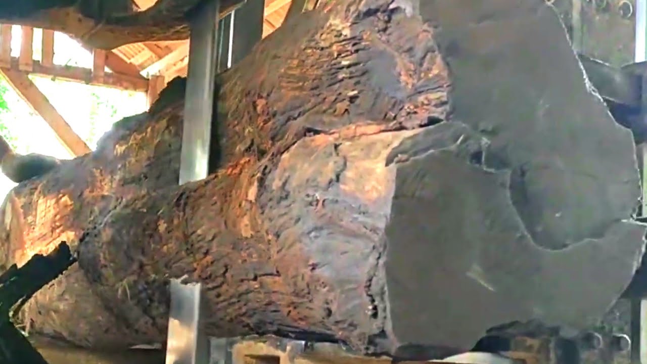 The amazing discovery of beauty in wood when sawed 
