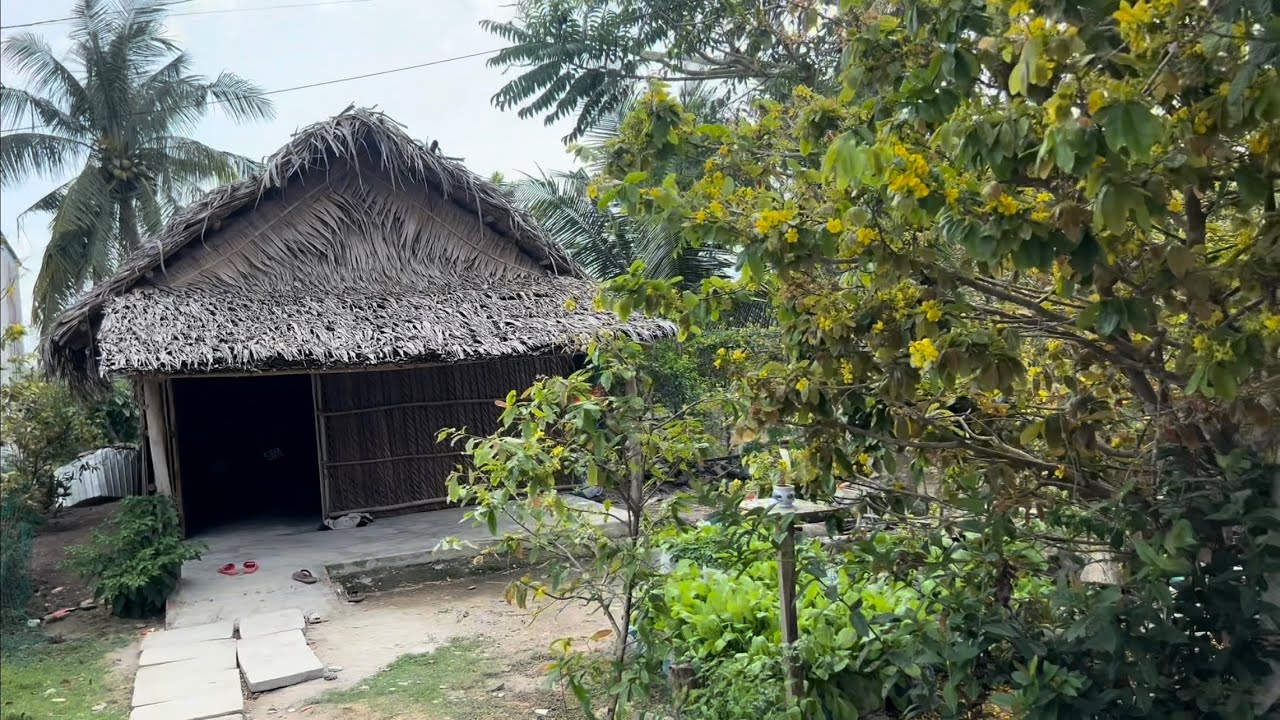 Bất Ngờ Lạc Vào Vùng Quê Hẻo Lánh, Ngày Mùng 1 Tết Có Gì Vui Khôn
