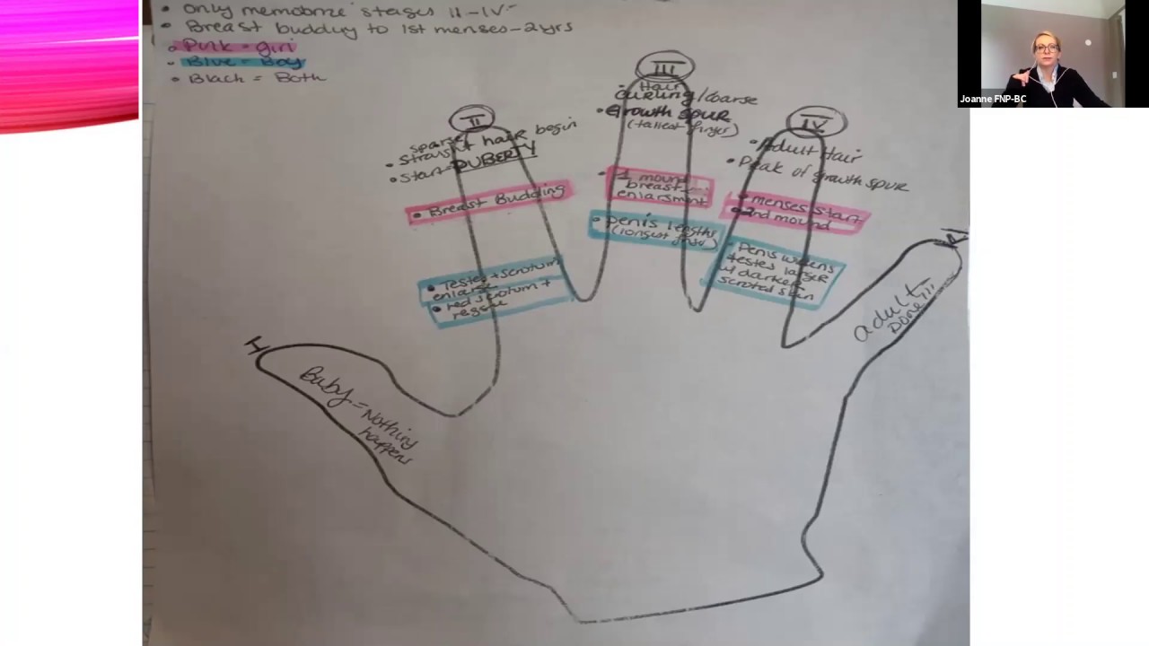 Tanner Stages