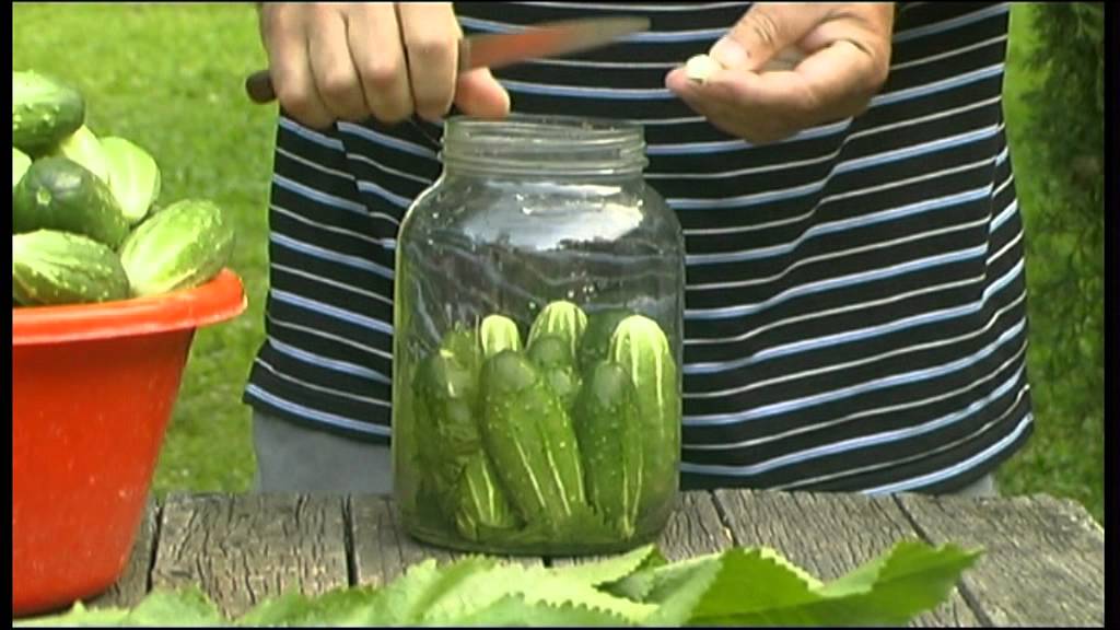 Como preparar los pepinos en frascos?