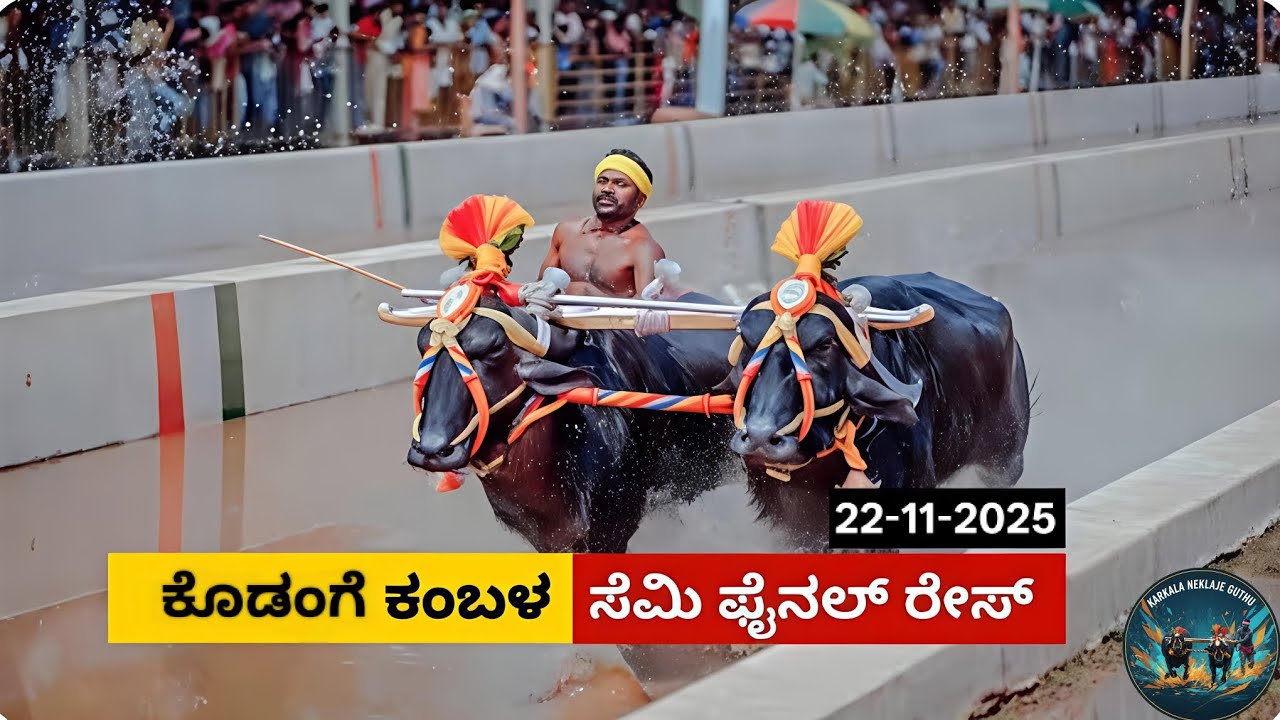 Kodange Siddhakatte Kambala Semi Final Race 2025 | ಕೊಡಂಗೆ ಸಿದ್ಧಕಟ್ಟೆ ಕಂಬಳ ಸೆಮಿ ಫೈನಲ್ ರೇಸ್ #kambala 