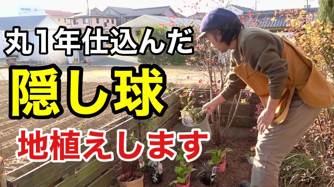 とりあえずどんどん植えとけ！　【園芸超人カーメン君】
