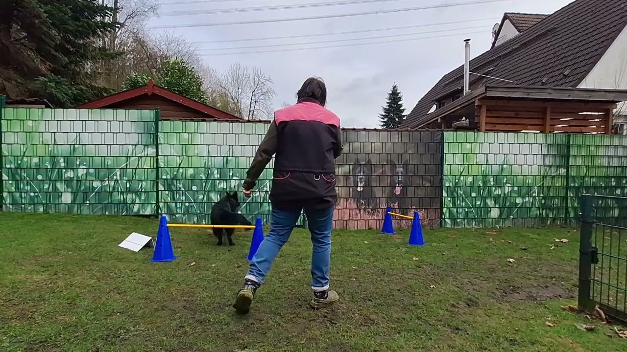Training für die FCI PO