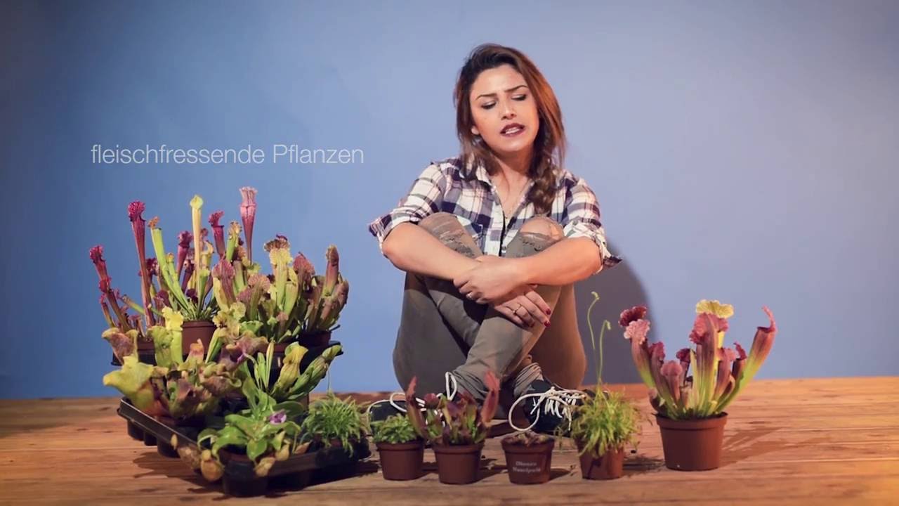 JAMILA & DIE FLEISCHFRESSENDEN PFLANZEN | pflanzmich.de Vlog