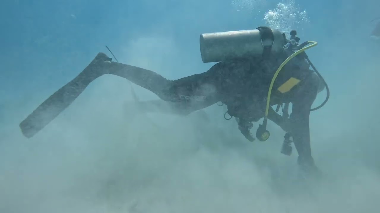 Barbados 2026 Diving with Ray