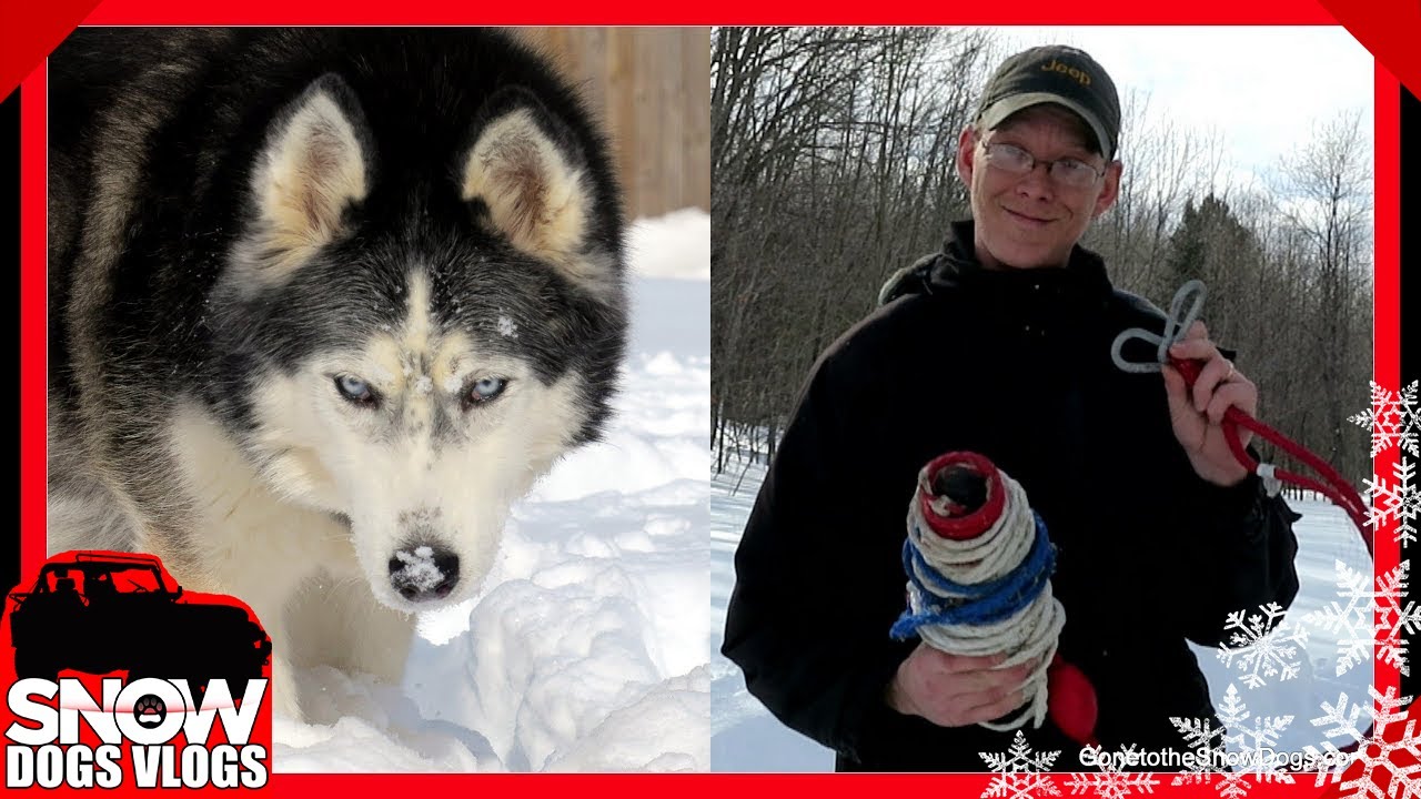 JAMIE GOES SKIING And HUSKIES in the SNOW