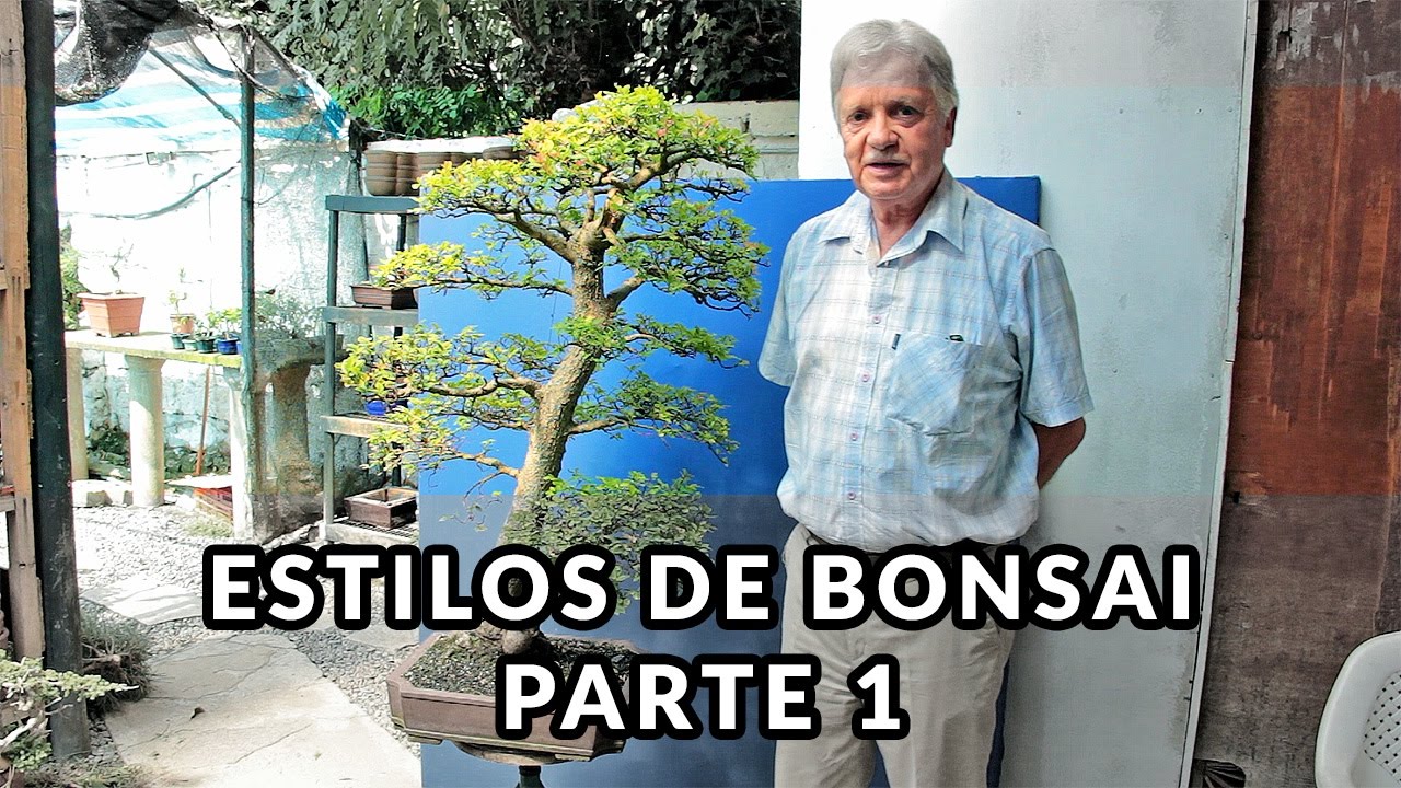 Estilos de Bonsai - Parte 1