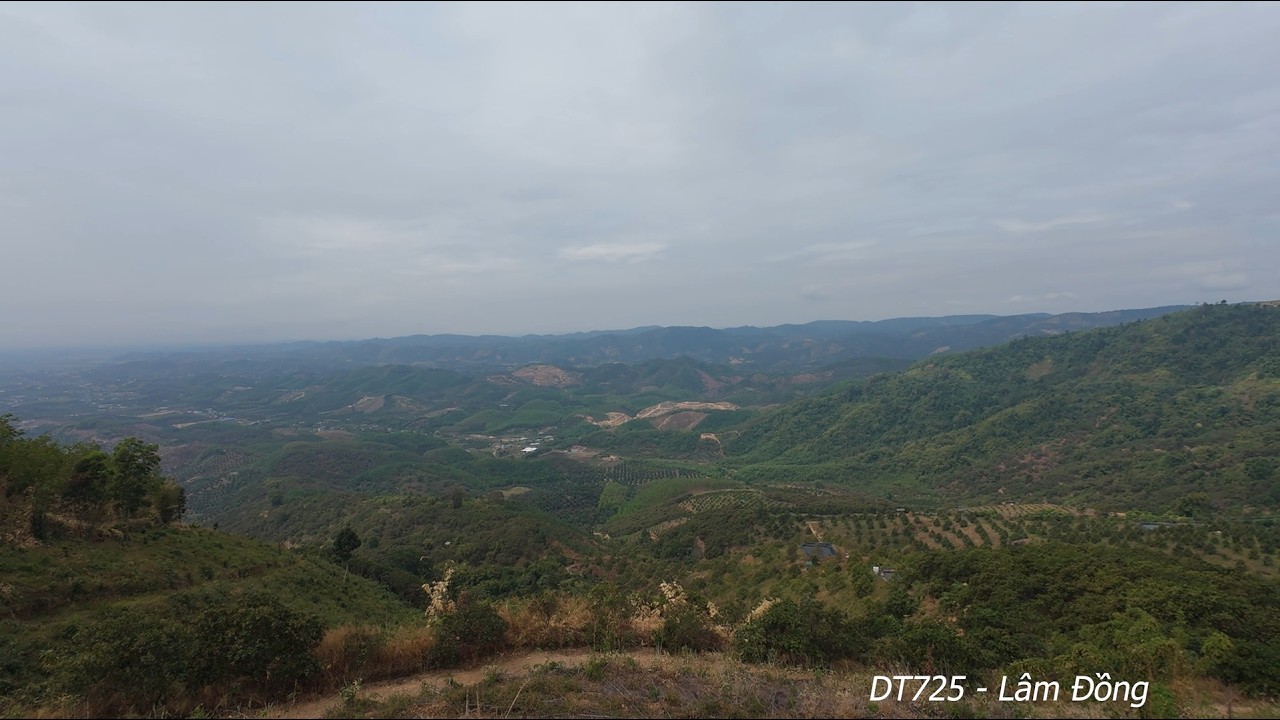 Lần đầu phượt Sài gòn - Đà Lạt qua DT725. Trời mưa cũng không cản bước được thanh niên.