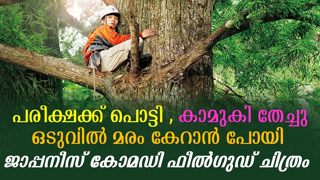 Wood Job! 2014 Japanese Movie Explained in Malayalam | Part 1 | Movie explained | Cinema Katha