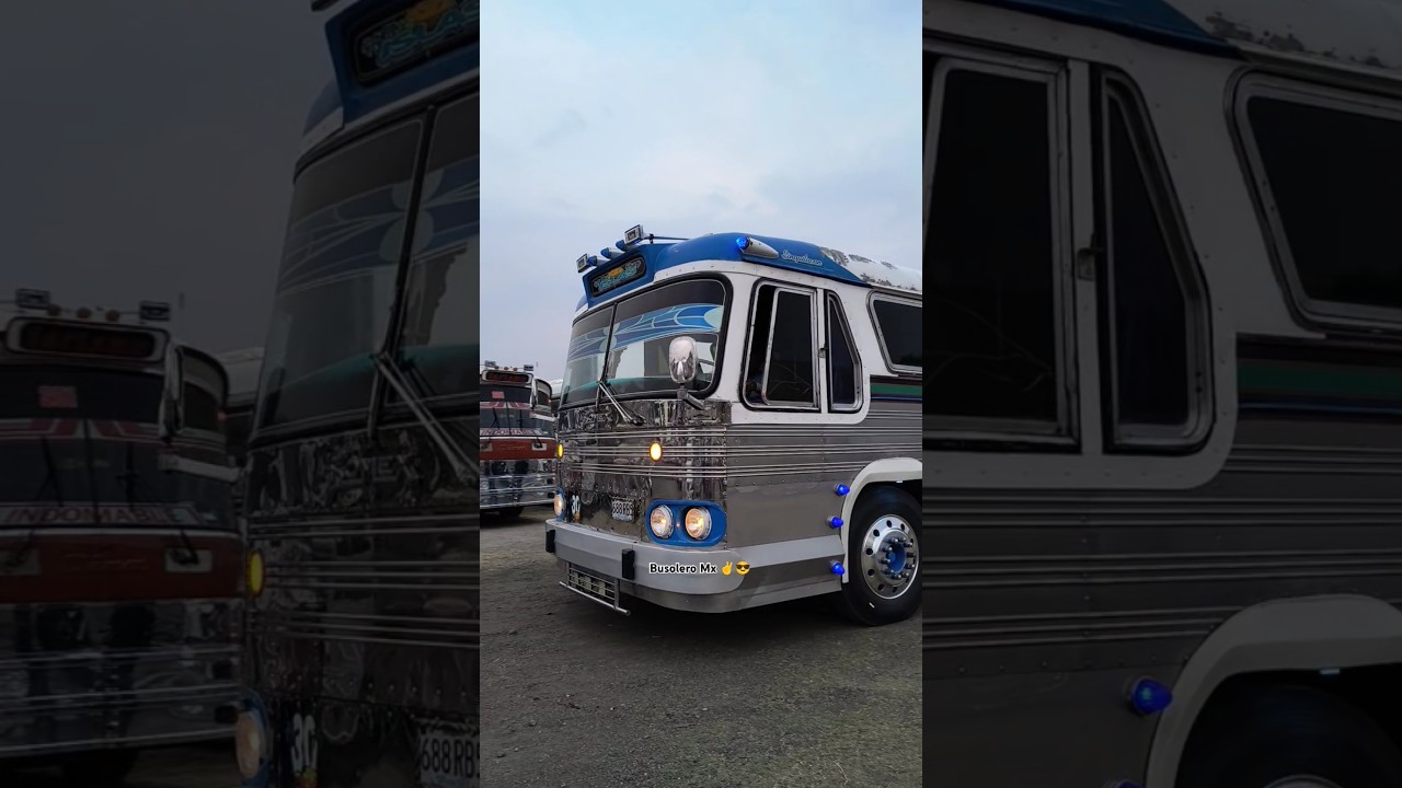Tultepec 🟢🔵 Somex 2030. #masa #somex #transporte #autobus #clasico #bus #short