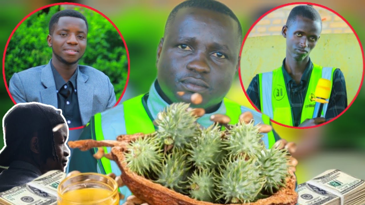 🇧🇮🌿CA GITERWA C'IKIBONOBONO🌿 CAMAZE KWANDIKA✍️  AMATEKA  MU BURUNDI 🌿🇧🇮