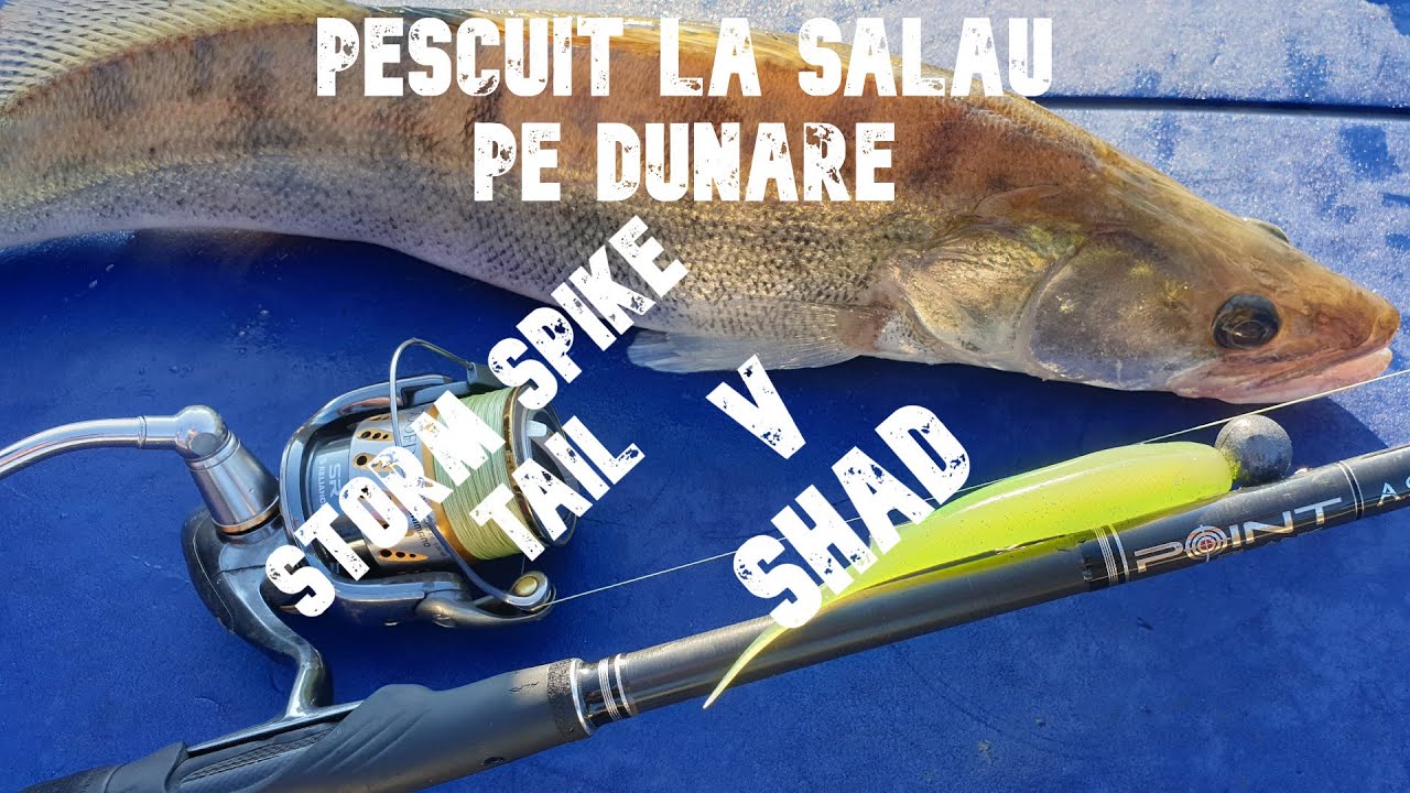 Dunare pescuit la salau pe naluci Spike Tail