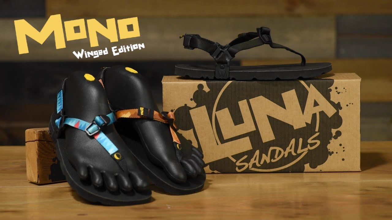 The LUNA Mono Winged Edition