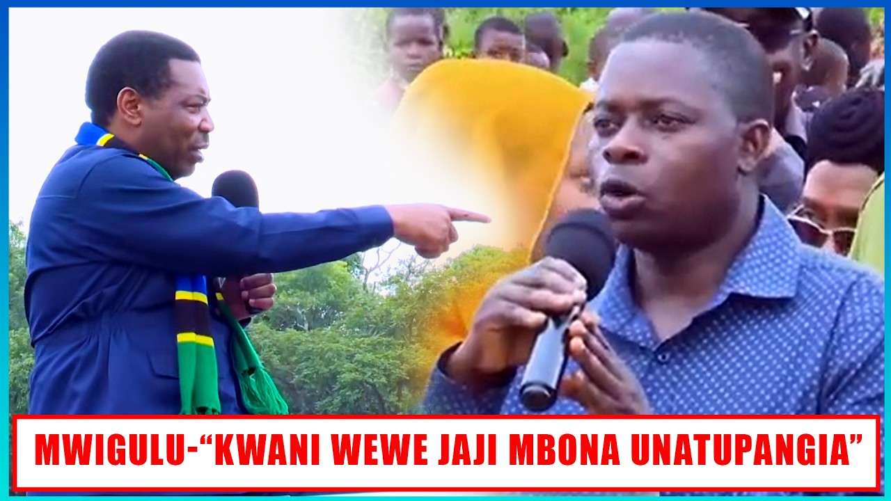 MWIGULU AMBANA MWANASHERIA