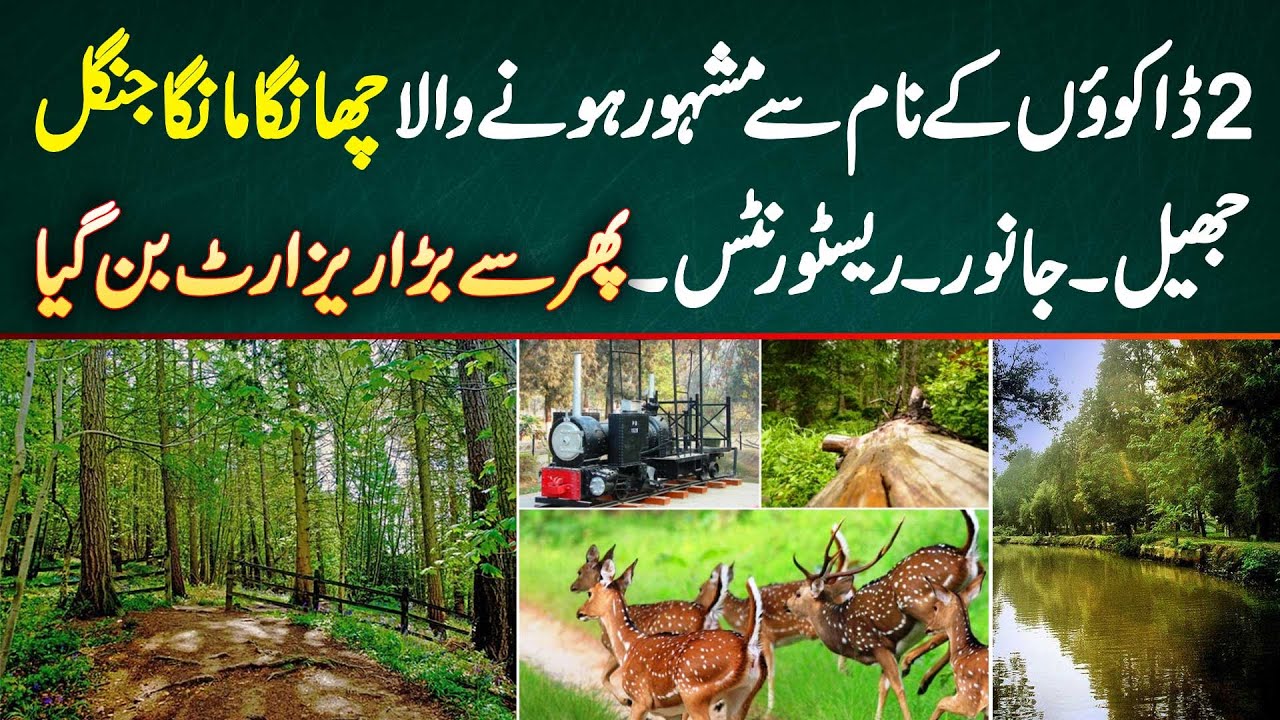 2 Dakuonn Ke Naam Se Famous Hone Wala Changa Manga Jungle - Lake, Animals, Restaurants - Bara Resort