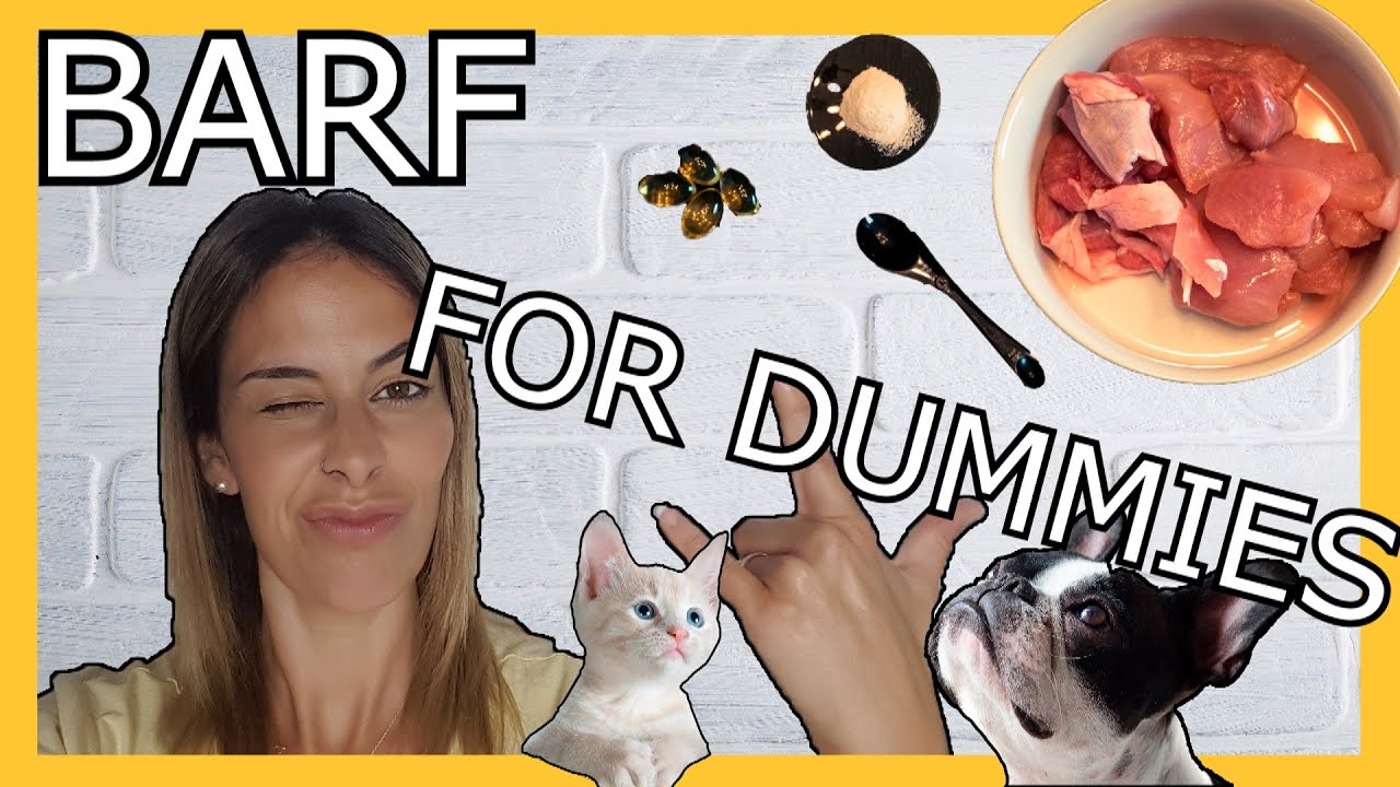 DIETA BARF PARA PERROS Y GATOS 🥩🦴 | Hazlo TÚ mismo 😻