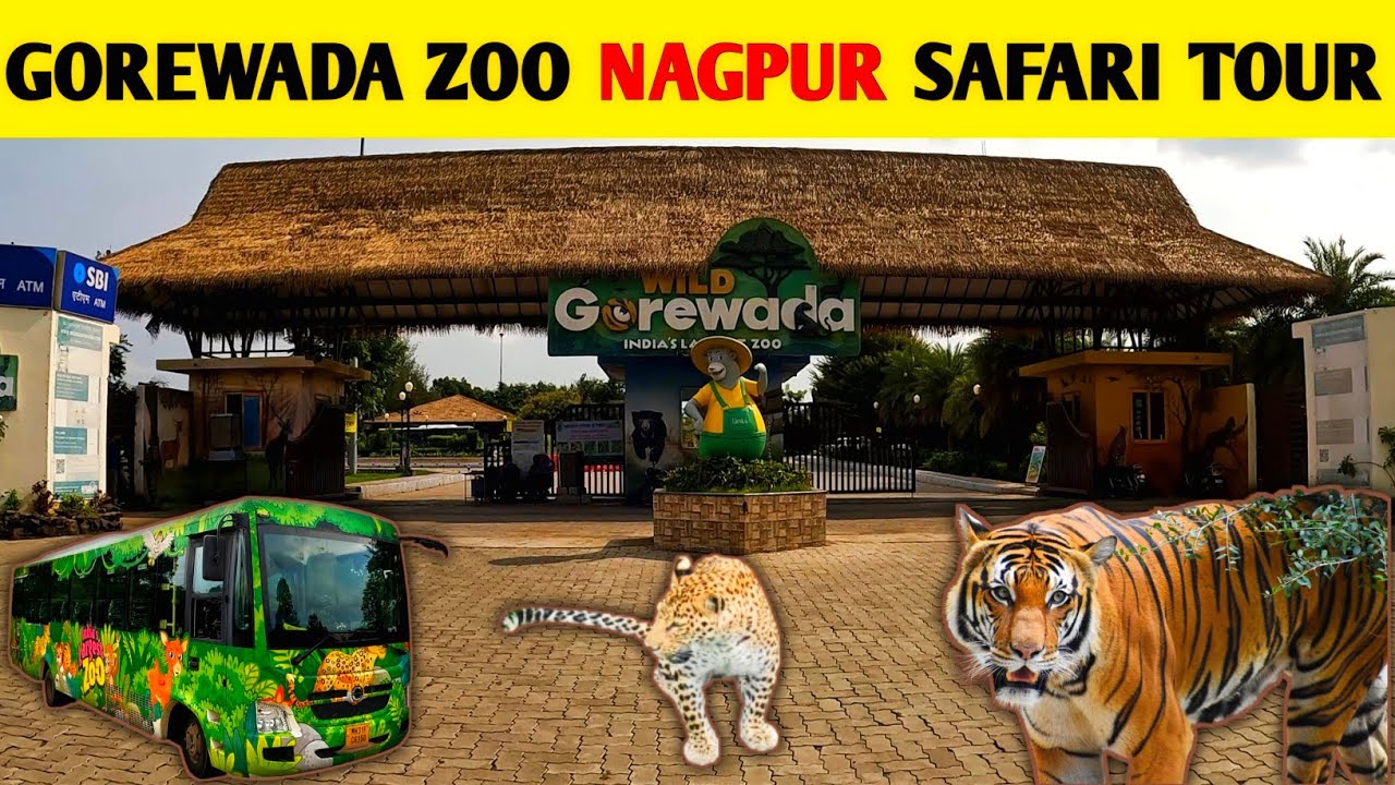 Gorewada Zoo Nagpur || Gorewada Zoo Nagpur Safari || Jungle Drive || Nagpur Zoo Entry Fees 