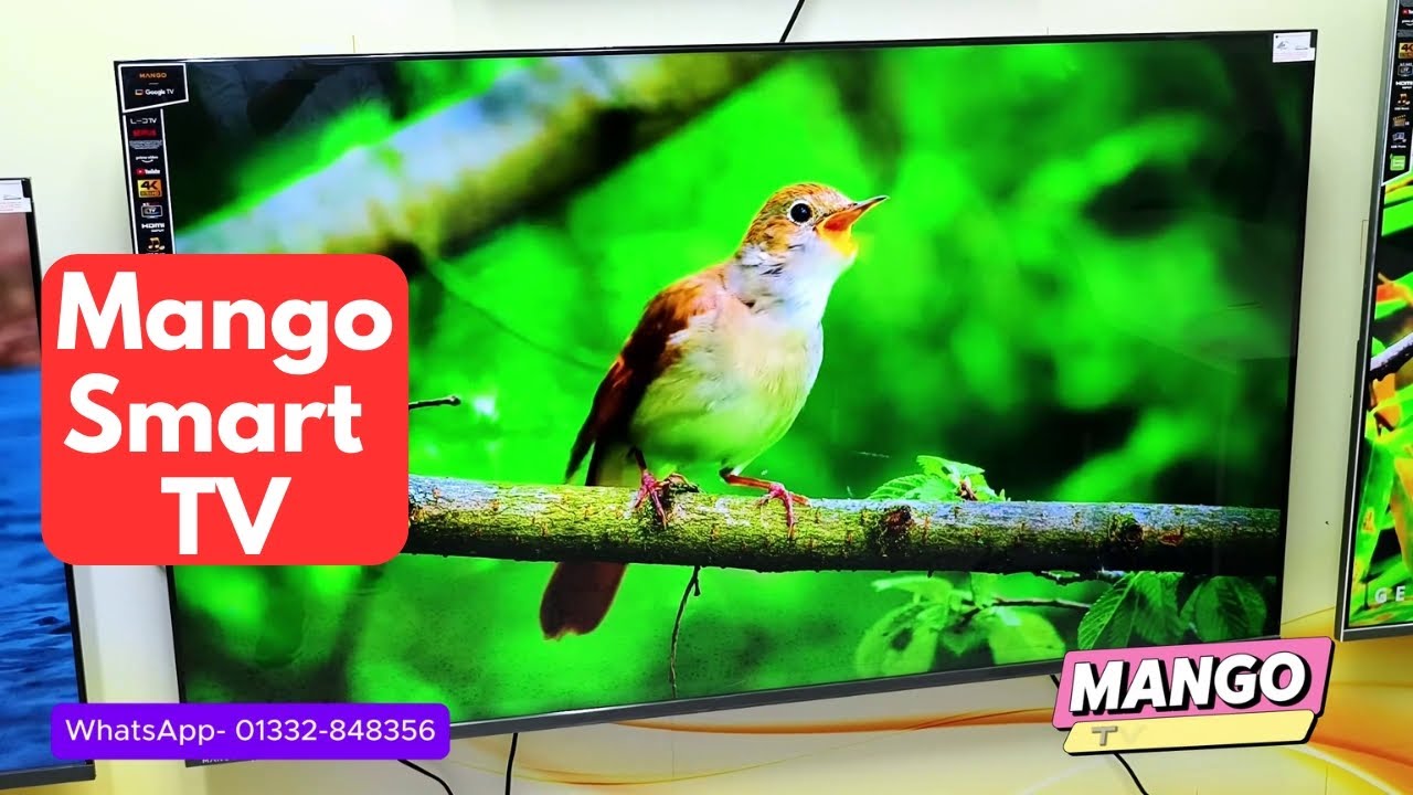 Mango Google Smart TV - Best Color TV in The World