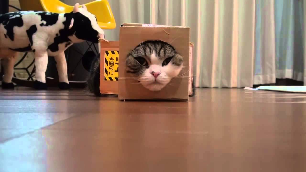 A weapon to surpass Metal Gear