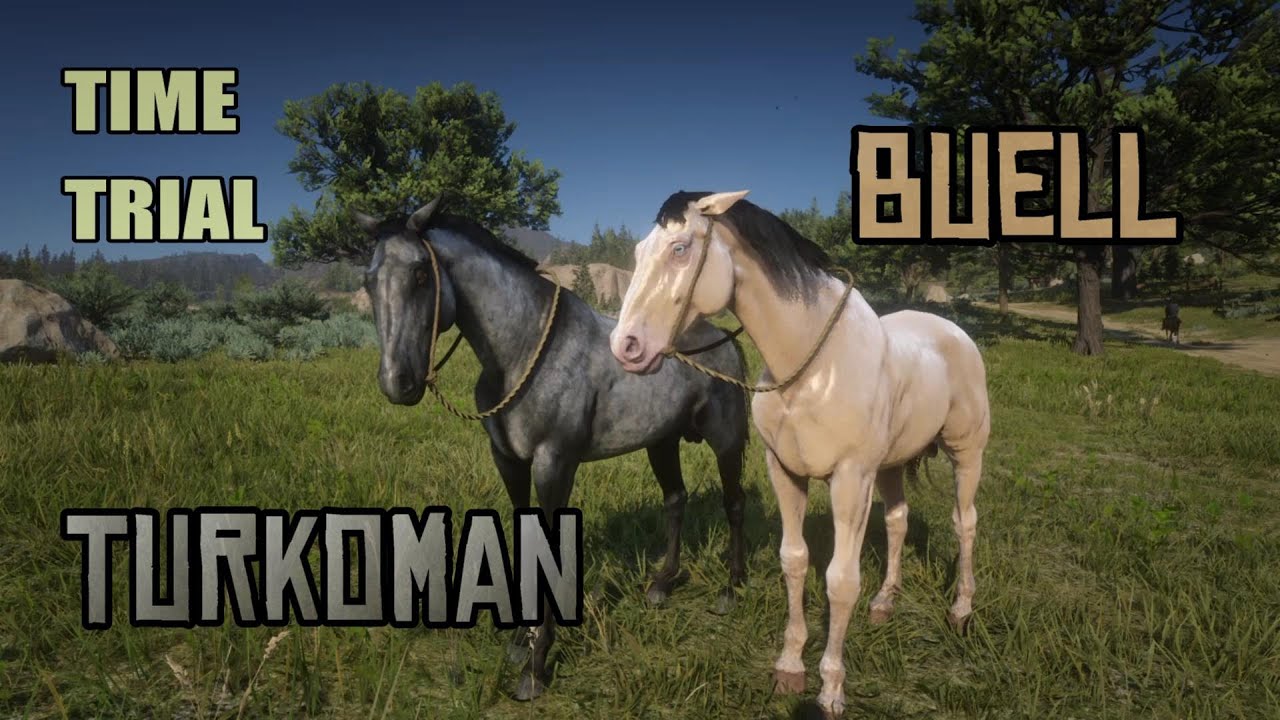 Buell vs Turkoman Time Trial : Red Dead Redemption 2