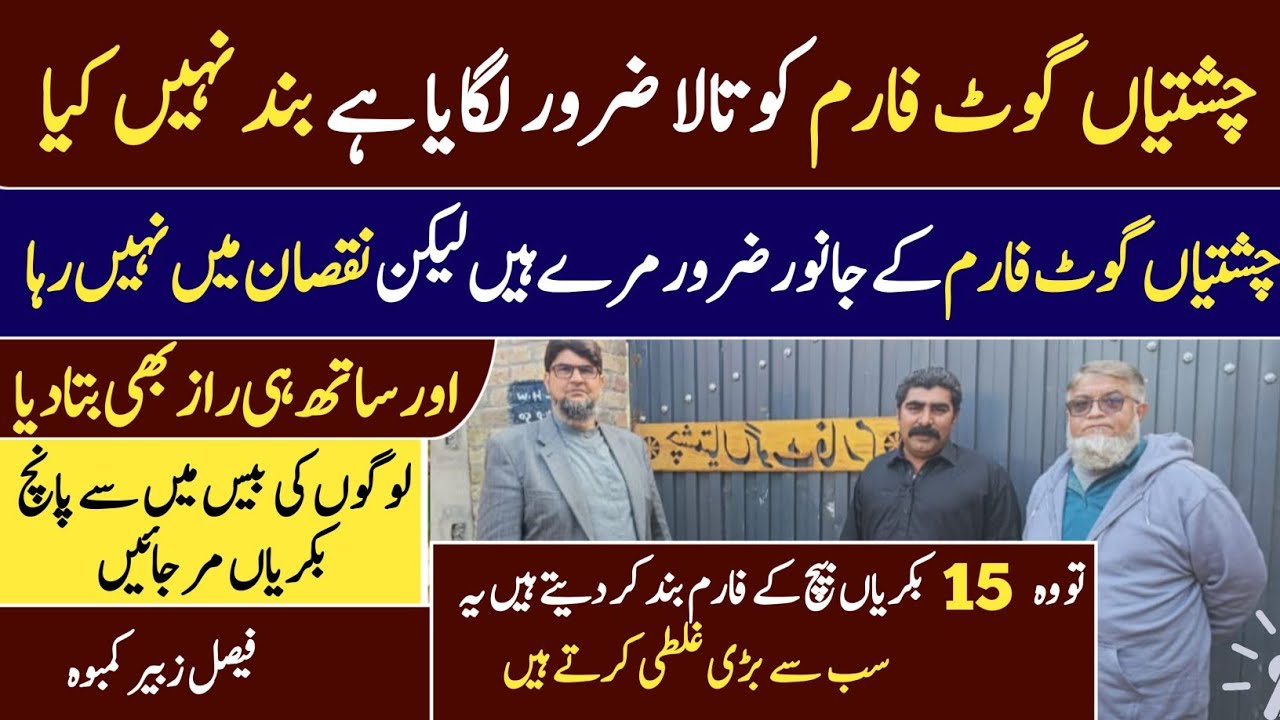 چشتیاں گوٹ فارم بند نہیں ہوا chashtyan goat farm  band nihen hawa fisal zaber kamboh