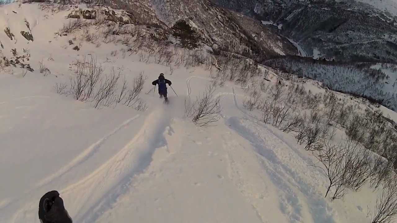 Skogspudder i Sunndalen II