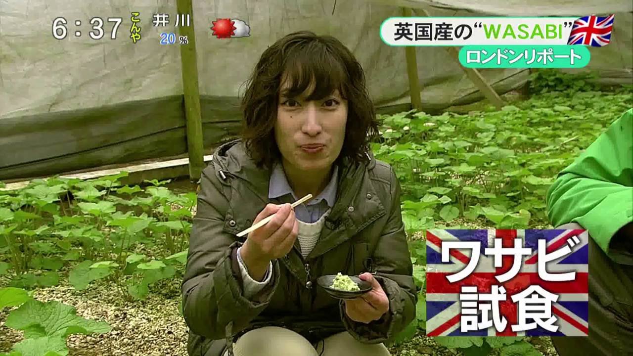 The Wasabi Company featured on Shizuoka News.