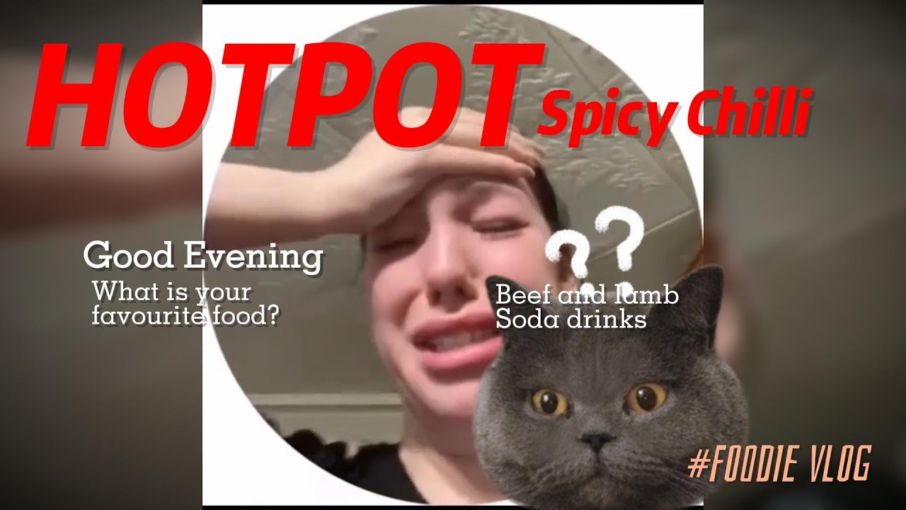 Манежный кот #смешныекоты #поржать