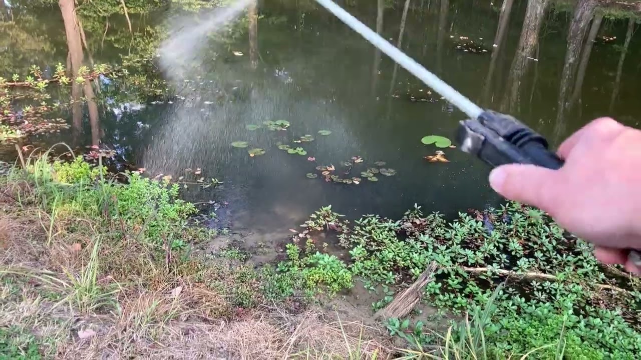 Простой способ уничтожить рогоз, водяную примулу и ряску