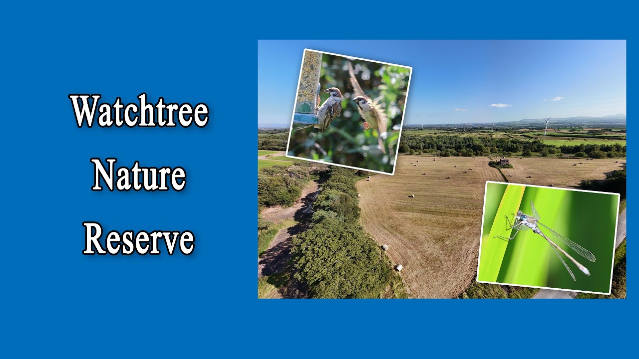 Watchtree Nature Reserve