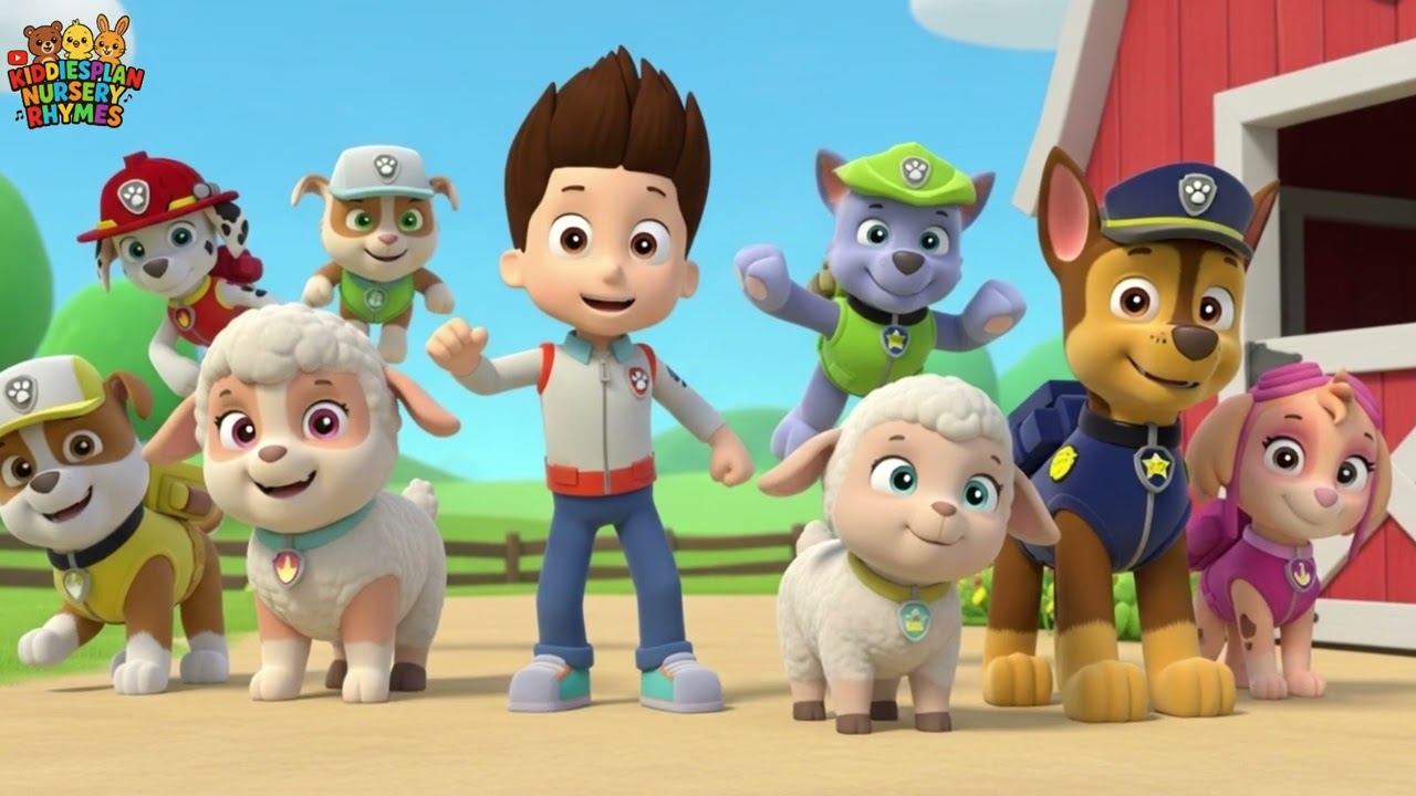 Paw Patrol Rescue Team