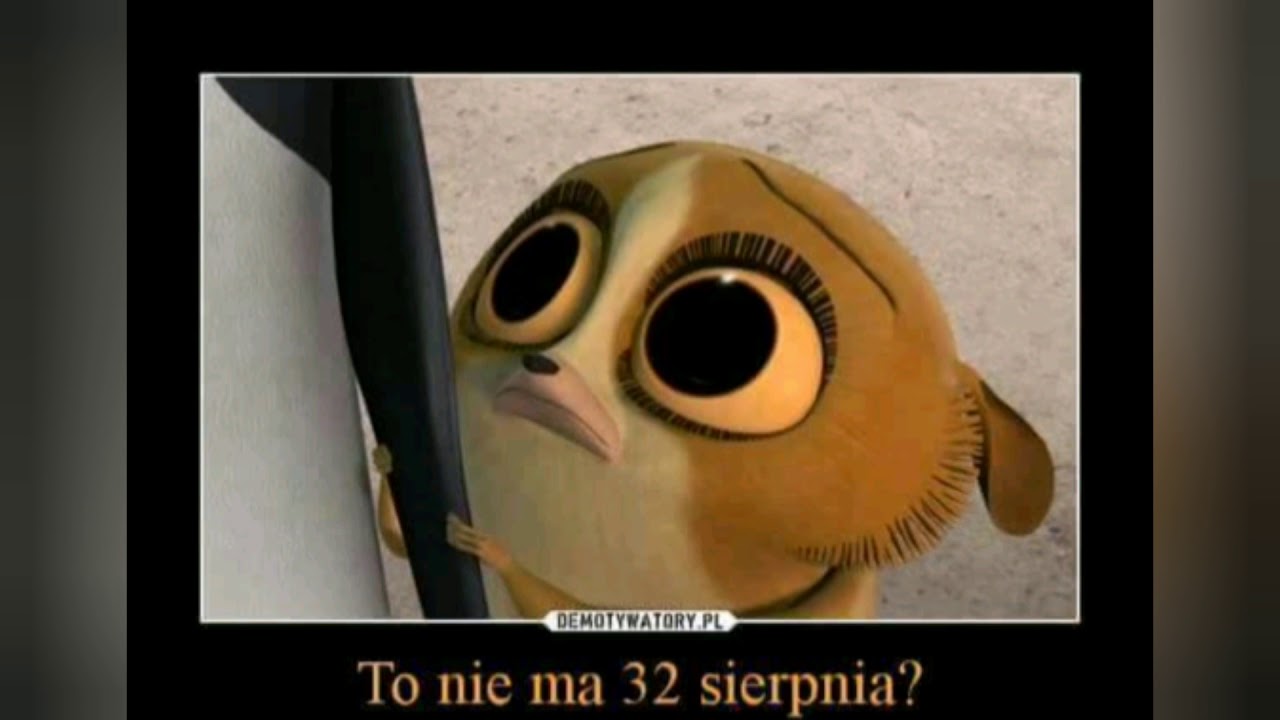 Memy PL #1