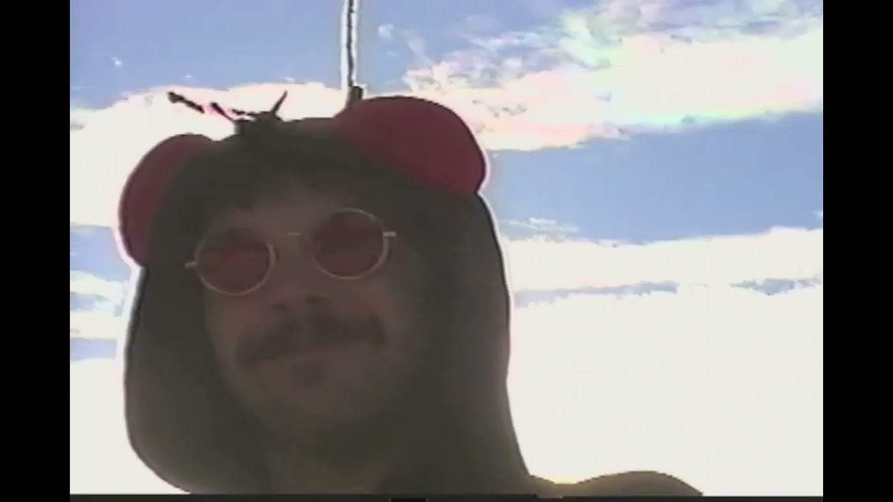 regals - wallfly (official music video}