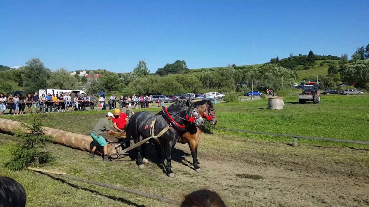 KAMIENSKA PODKOVA 2017 Tarzan i Herkulez